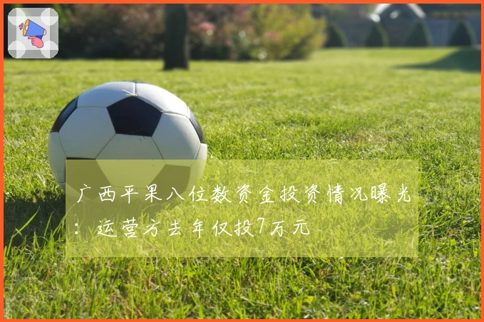 广西平果八位数资金投资情况曝光：运营方去年仅投7万元