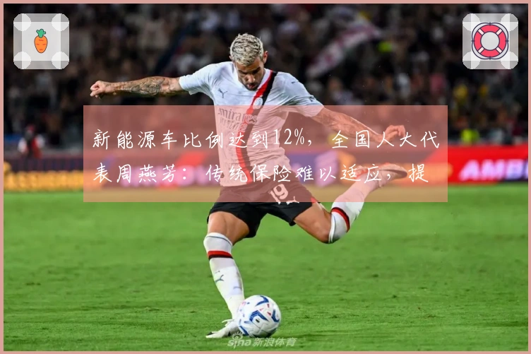 新能源车比例达到12%，全国人大代表周燕芳：传统保险难以适应，提议实施差异化定价。