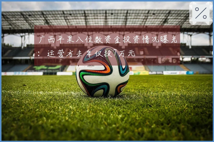 广西平果八位数资金投资情况曝光：运营方去年仅投7万元