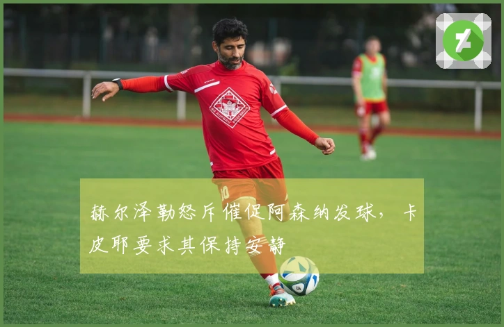 赫尔泽勒怒斥催促阿森纳发球，卡皮耶要求其保持安静