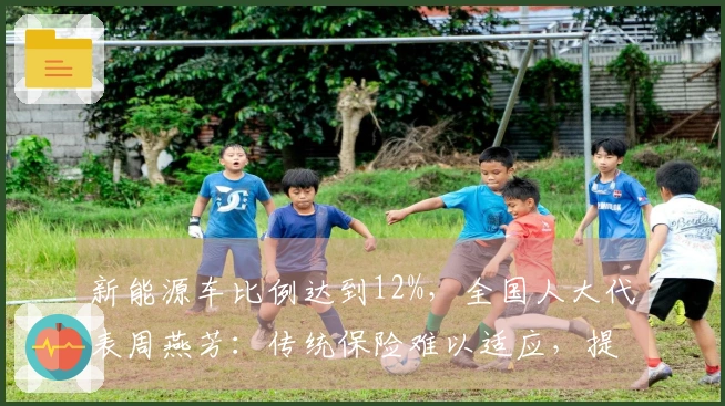 新能源车比例达到12%，全国人大代表周燕芳：传统保险难以适应，提议实施差异化定价。